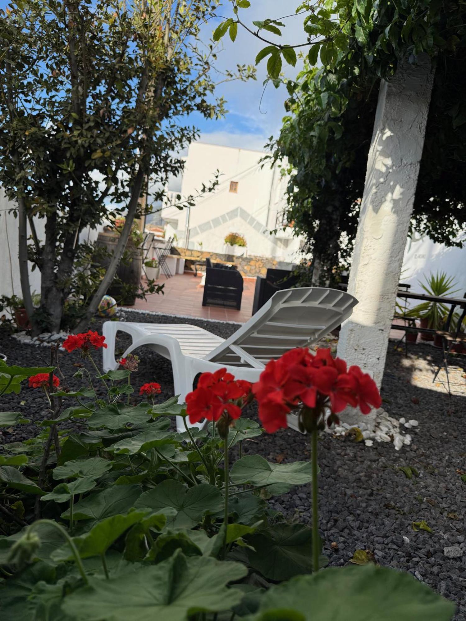 Hotel Geko *